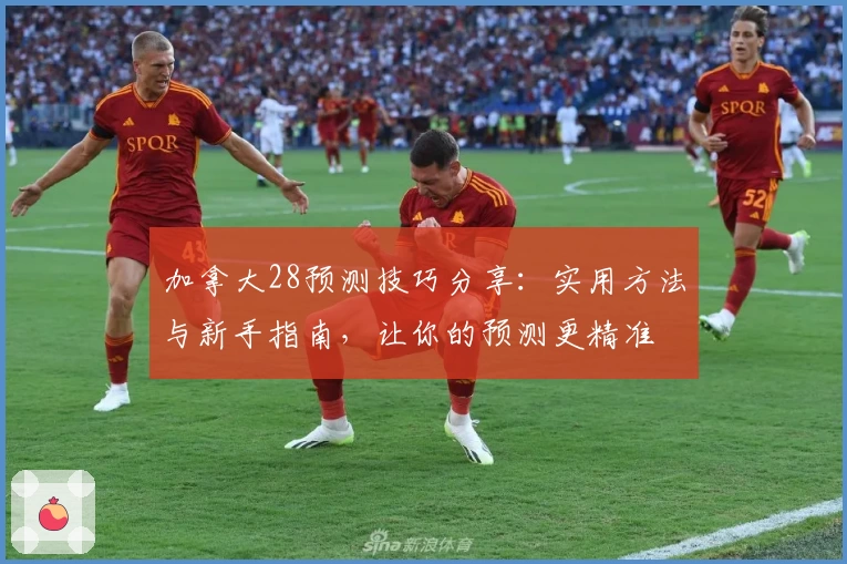 加拿大28预测技巧分享:实用方法与新手指南,让你的预测更精准