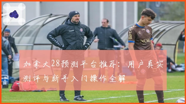 加拿大28预测平台推荐：用户真实测评与新手入门操作全解