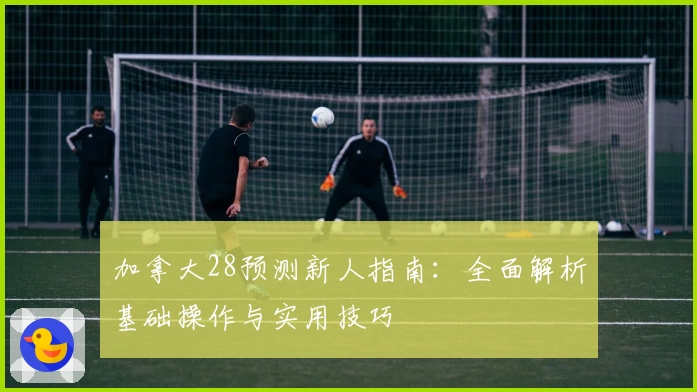 加拿大28预测新人指南：全面解析基础操作与实用技巧
