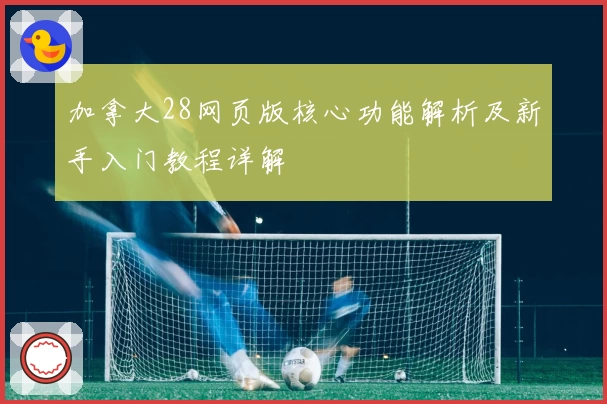 加拿大28网页版核心功能解析及新手入门教程详解