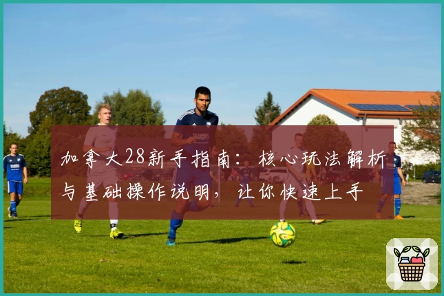 加拿大28新手指南：核心玩法解析与基础操作说明，让你快速上手