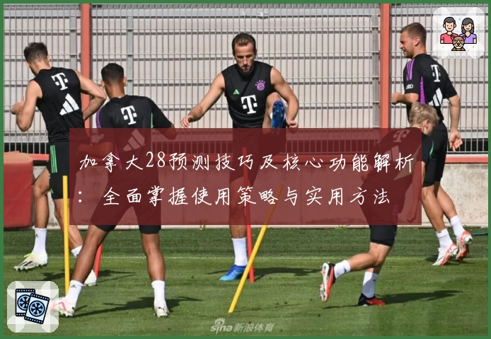 加拿大28预测技巧及核心功能解析：全面掌握使用策略与实用方法