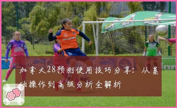 加拿大28预测使用技巧分享：从基础操作到高级分析全解析