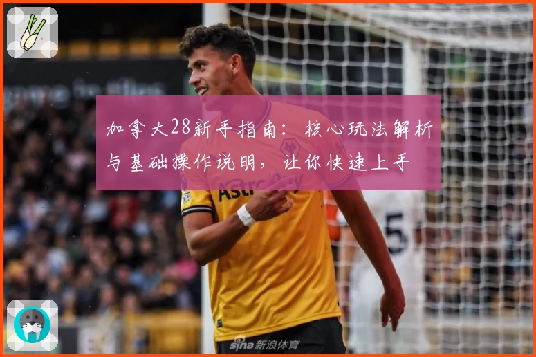加拿大28新手指南:核心玩法解析与基础操作说明,让你快速上手