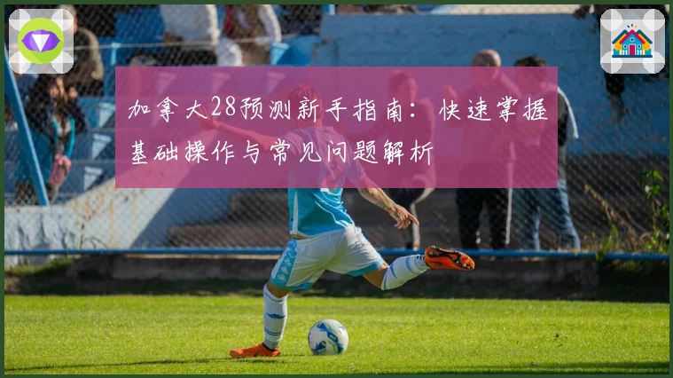 加拿大28预测新手指南：快速掌握基础操作与常见问题解析