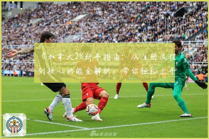 《加拿大28新手指南：从注册流程到核心功能全解析，带你轻松上手》